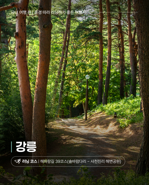 국내 여행 편 | 풍경 따라 러닝하기 좋은 여행지, 강릉 러닝 코스|해파랑길 39코스(솔바람다리~사천진리 해변공원)