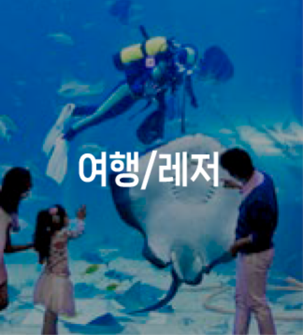 여행/레저